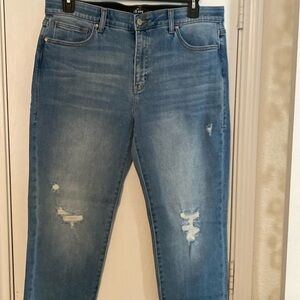 LuLaRoe Denim Jeans Size 32